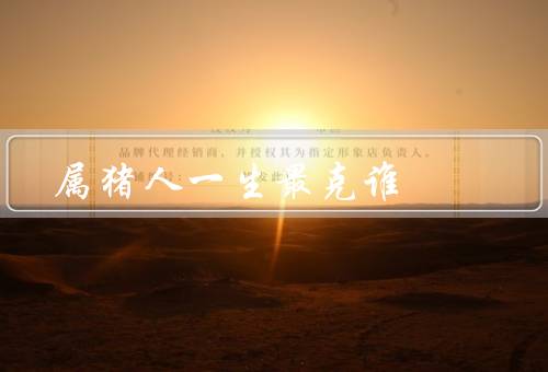 属猪人一生最克谁，爱情、财富、事业