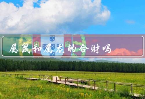 属鼠和属龙的合财吗（龙的合作关系／龙合财的好处）