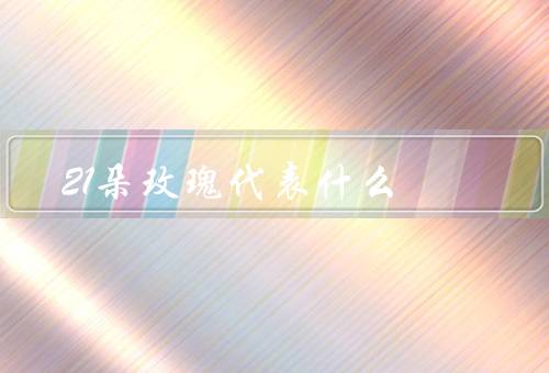 21朵玫瑰代表什么