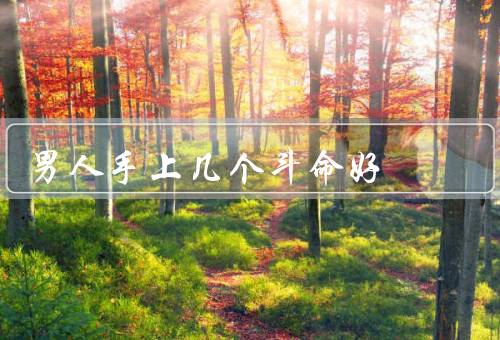 男人手上几个斗命好（命运线、人际关系线、心脏线）
