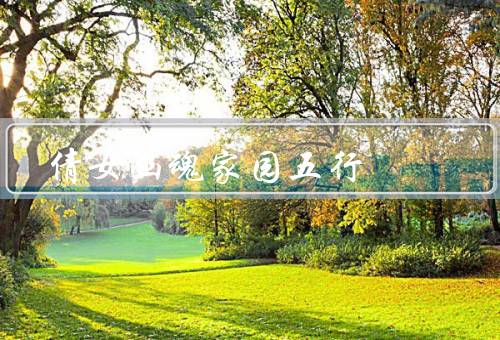 倩女幽魂家园五行（家园、命运、情感）