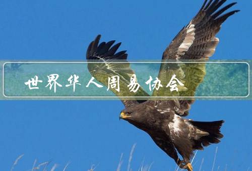 世界华人周易协会（成立背景、发展历程、贡献与影响）