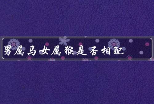 男属马女属猴是否相配（性格互补／默契度高／共同成长）