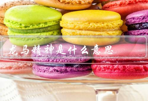 龙马精神是什么意思，龙马精神、龙应台的龙马精神、龙马精神的意义