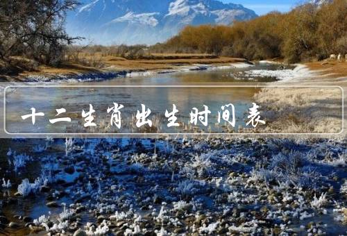 十二生肖出生时间表（鼠、牛、虎）