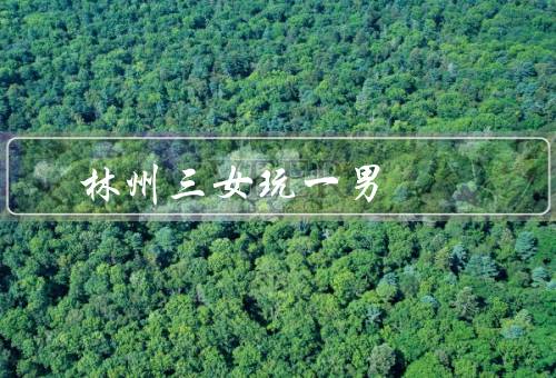林州三女玩死一男，背景介绍／案件调查／反思与警示