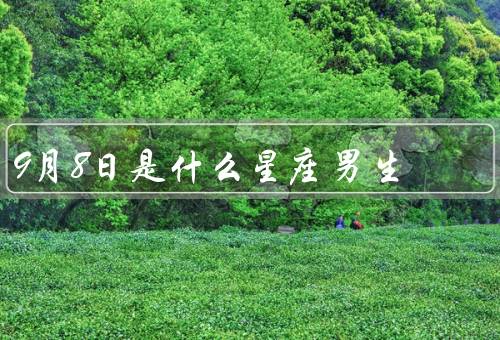 9月8日是什么星座男生，特点、感情、事业
