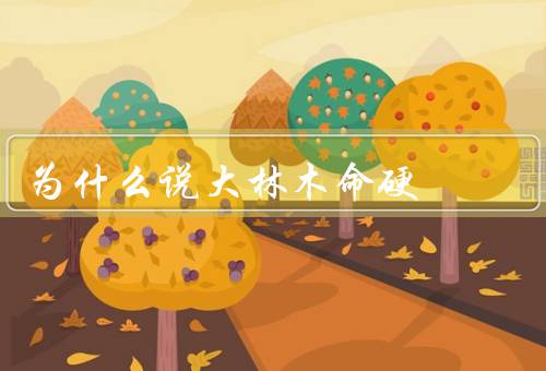 为什么说大林木命硬（硬度、耐久性、美观性）