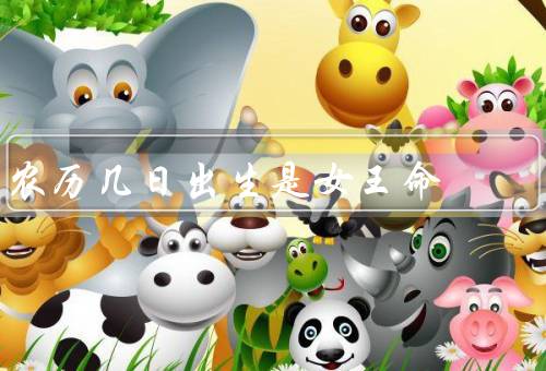 农历几日出生是女王命，关系／解读／启示