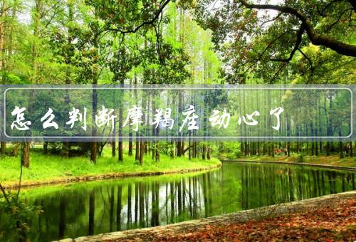 怎么判断摩羯座动心了，表现／原因／如何判断了