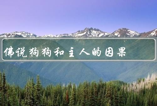 佛说狗狗和主人的因果（前世因果／感应共鸣／修行与教化）