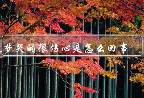 做梦哭的很伤心是怎么回事（情绪的反映／压力的积累）