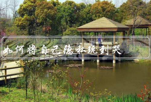 如何将自己隐私玩到哭（保护个人信息、加强网络安全）