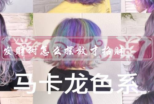 发财树怎么摆放才招财（位置、方向、养护注意）
