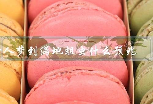女人梦到满地蛆虫什么预兆（梦到满地蛆虫／暗示的意义／解梦建议）