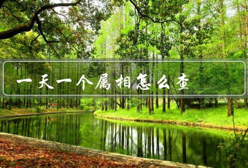 一天一个属相怎么查，出生年份查看／查询工具查看／咨询专家查看