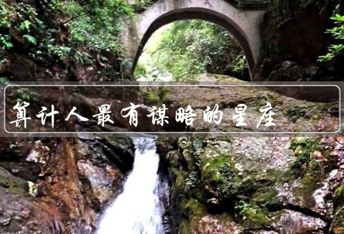 算计人最有谋略的星座，天蝎座／双子座／摩羯座