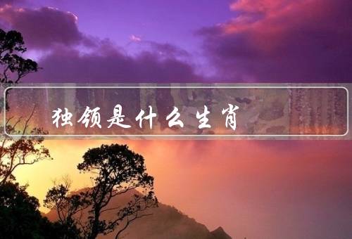 独领风骚是什么生肖，什么生肖／表现／启示