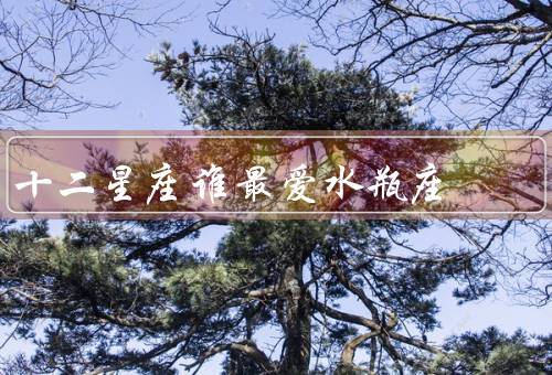 十二星座谁最爱水瓶座（白羊座、双子座、天秤座）