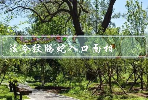 法令纹腾蛇入口面相（形态、深浅、改善方法）