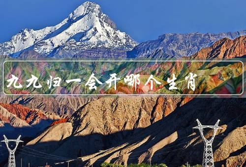 九九归一会开哪个生肖，传说／猜测／真相