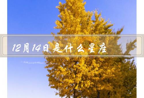 12月14日是什么星座，特点、人际关系、事业发展