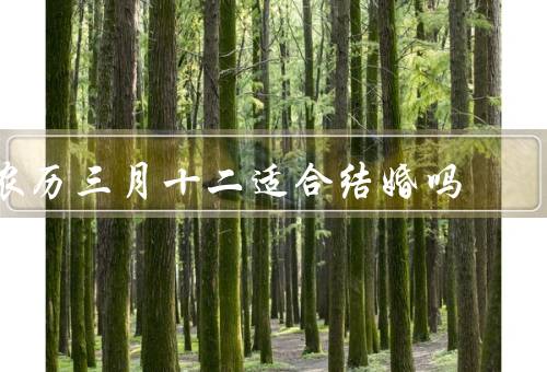 农历三月十二适合结婚吗，吉祥寓意／吉时吉日／宜嫁之年龄