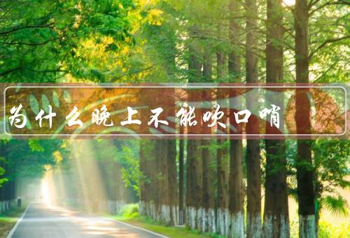 为什么晚上不能吹口哨，晚上的宁静／引发不必要的纠纷／文明礼仪
