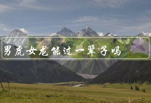 男虎女龙能过一辈子吗（性格差异／家庭观念／相互补充）