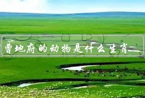 阴曹地府的动物是什么生肖，白虎／神禽朱雀／玄武