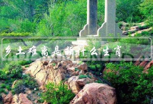 乡土难离是指什么生肖（难离／情怀／文化传承）