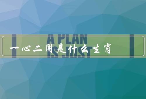 一心二用是什么生肖，聪明灵活／善于平衡／适应能力强