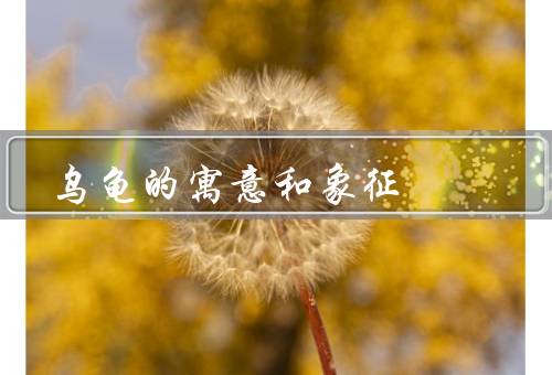 乌龟的寓意和象征风水（象征意义、在中的作用、结语）