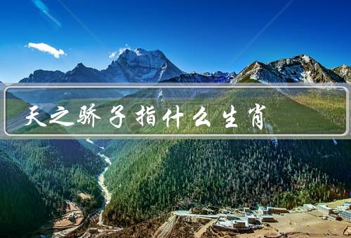 天之骄子指什么生肖，马之特点／天之骄子的象征／马年的特点