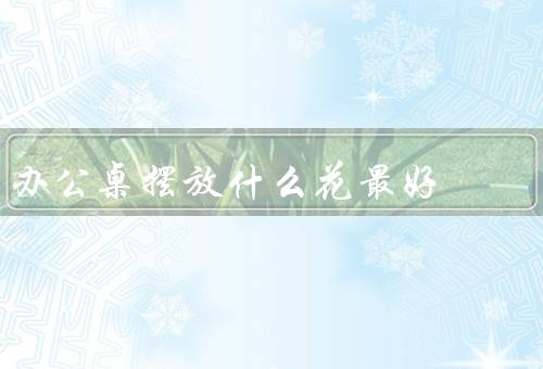 办公桌摆放什么花最好，绿植、郁金香、百合