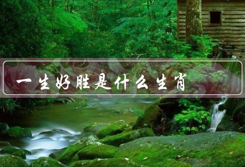 一生好胜是什么生肖，好胜心／竞争意识／成功之路