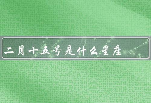 二月十五号是什么星座，特点／人际关系／职业发展