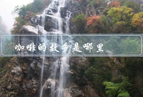 咖啡的故乡是哪里，埃塞俄比亚／阿拉伯半岛／欧洲