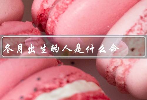 冬月出生的人是什么命（性格特点、事业发展、爱情婚姻）