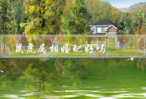 鼠虎属相婚配好吗（性格特点／婚配的问题／如何解决婚配的问题）