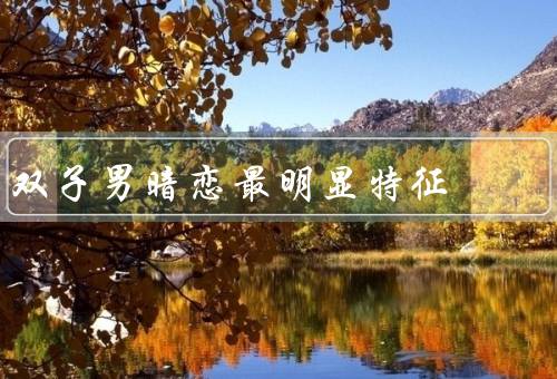 双子男暗恋最明显特征（直接或间接关心／主动接近和交流）
