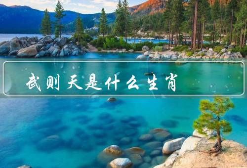 武则天是什么生肖，生平、性格特点、影响与评价