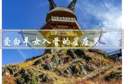 爱白羊女入骨的星座男（勇气／包容／陪伴）