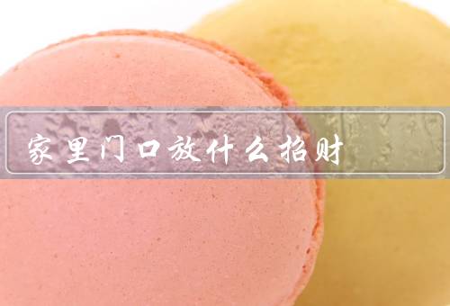 家里门口放什么招财（铜钱树／金钱树／招财猫）