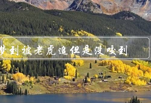 梦到被老虎追但是没咬到，奇怪的梦境／意义解析／勇敢面对