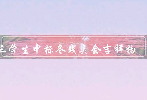 大三学生中标冬残奥会吉祥物，创意、努力、大学生创新力肯定