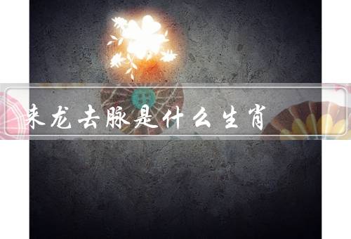 来龙去脉是什么生肖，鼠／牛／虎