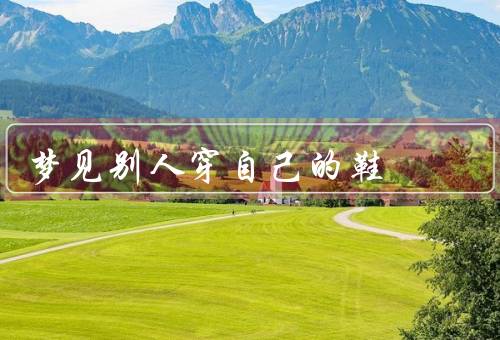 梦见别人穿自己的鞋（梦境解析／情感解读／行动建议）