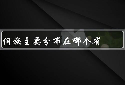 侗族主要分布在哪个省（概述／分布／文化）