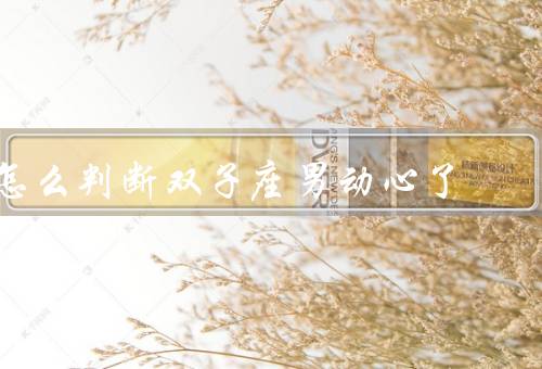 怎么判断双子座男动心了（特别关心你／更加主动和积极）
